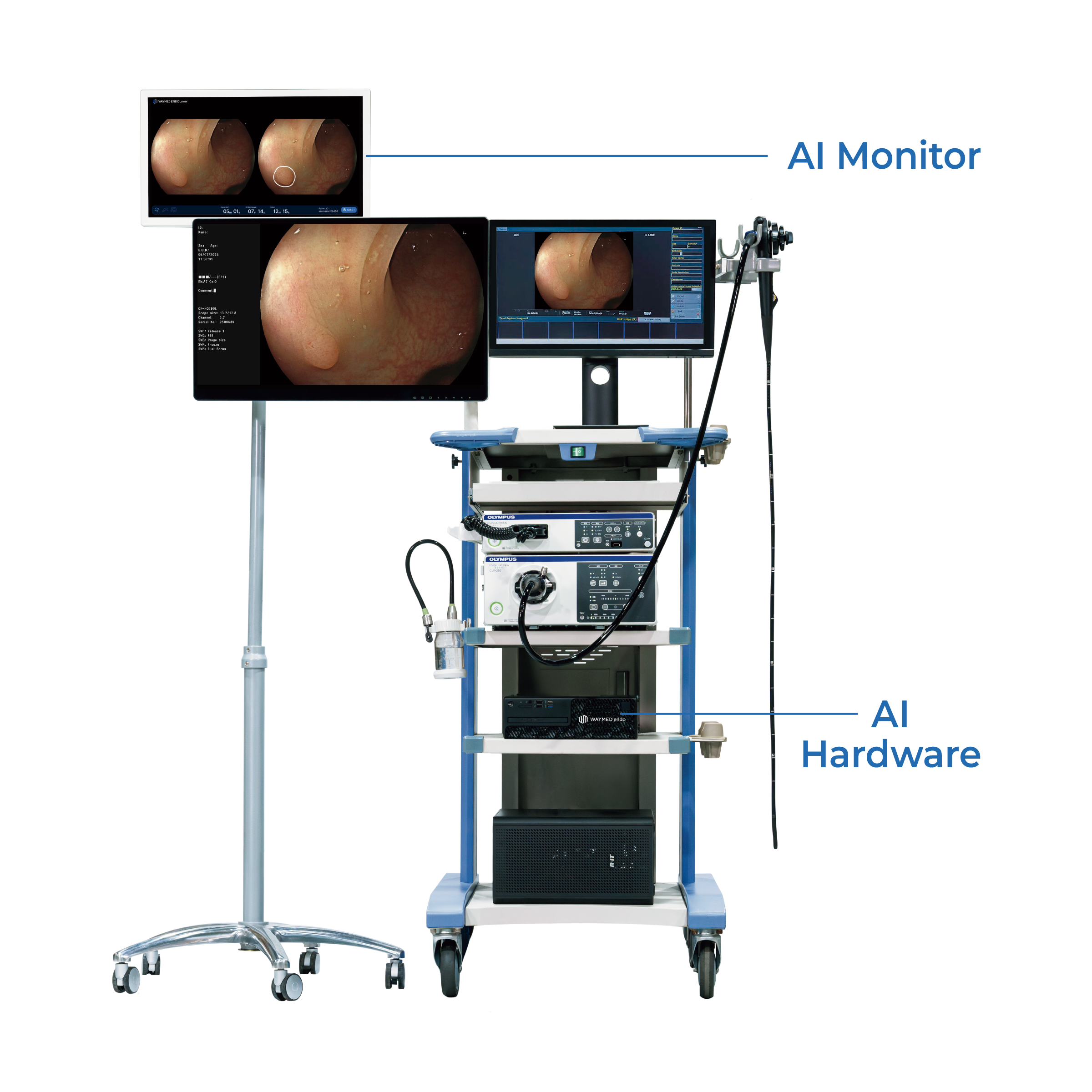 WAYMED Endo
